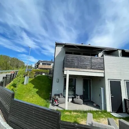 Lekkert Rekkehus Med Peis *